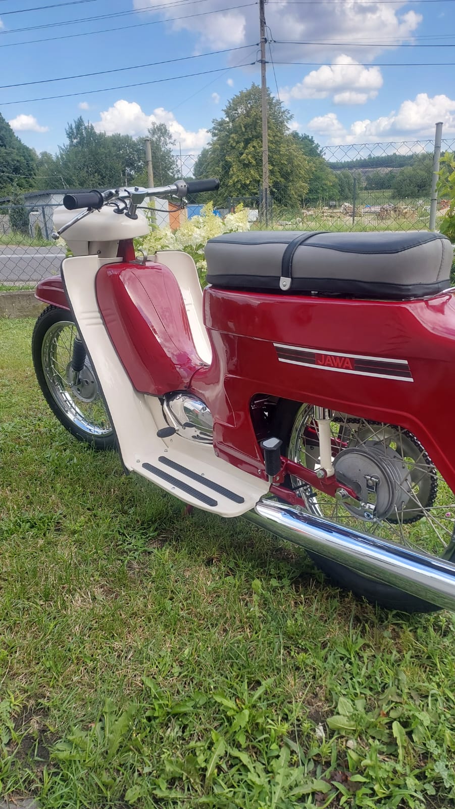 Jawa 50 - Kaczka