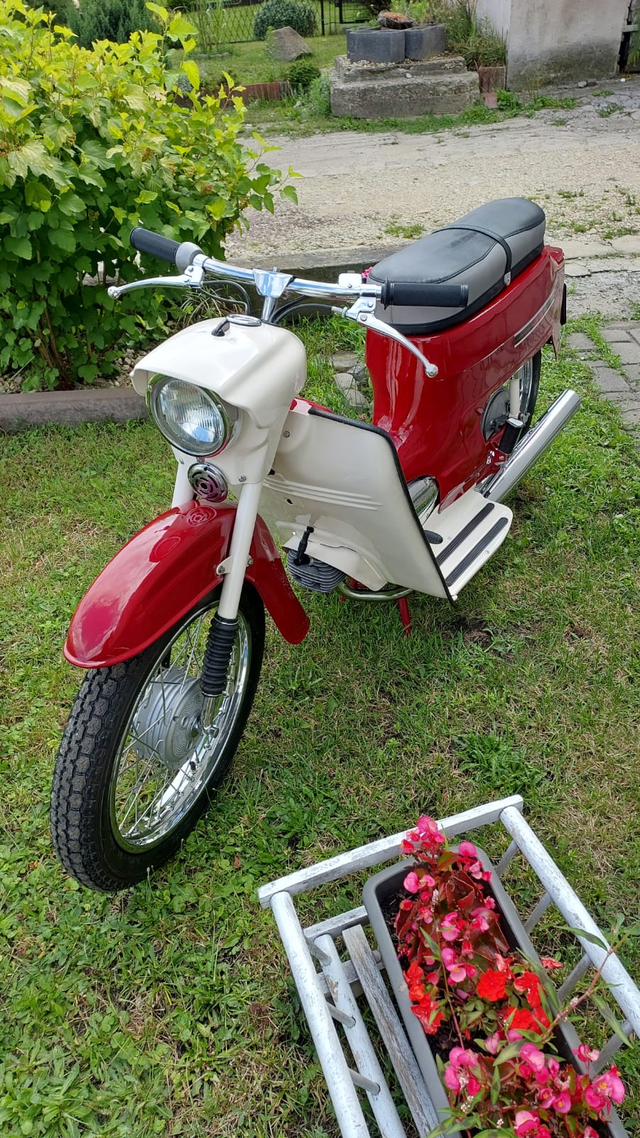 Jawa 50 - Kaczka