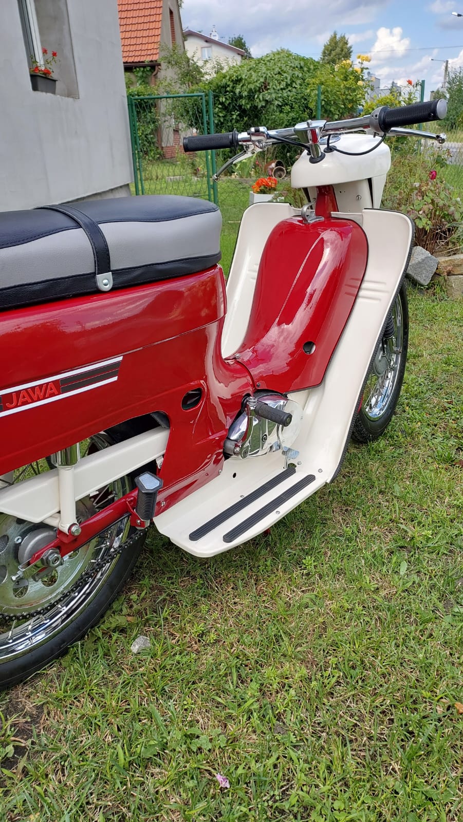 Jawa 50 - Kaczka